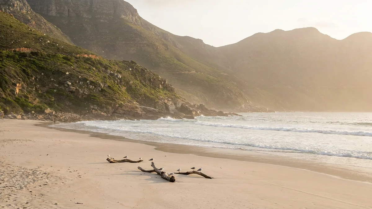 Best Time to Visit Hout Bay & Cape Town